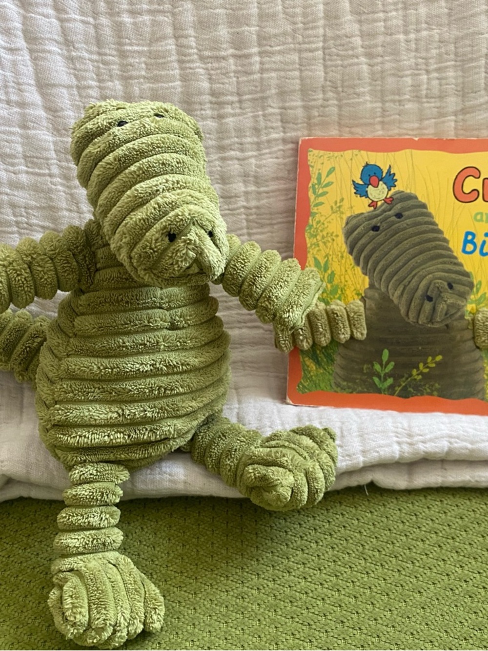 Jellycat Green Cordy Plush Frog Stuffed Toy and Croc and Bird Baby Book Set